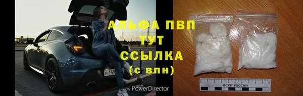 крисы Алзамай
