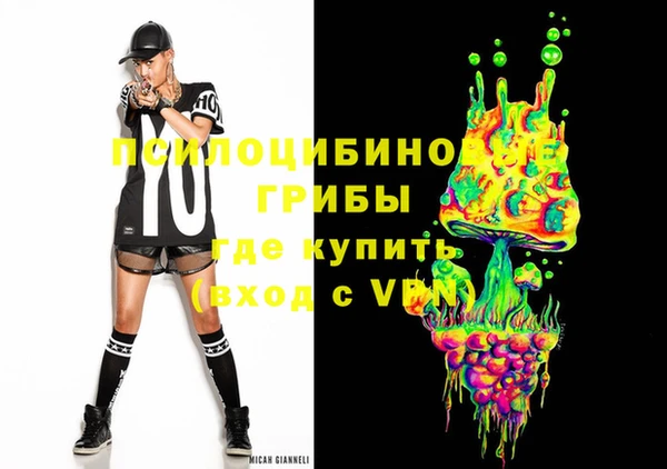 крисы Алзамай