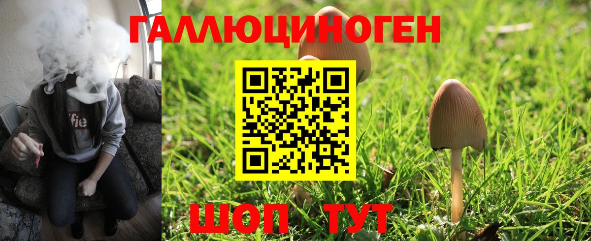 Галлюциногенные грибы MAGIC MUSHROOMS Тихвин