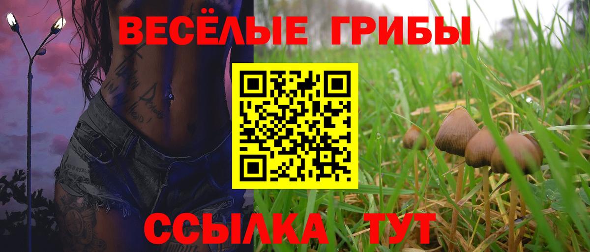 Тихвин  ГАШИШ  Марихуана  Вход с VPN  МЕФ кристаллы  Меф МЯУ МЯУ 